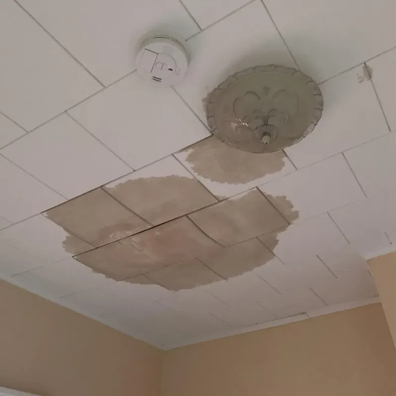 Ceiling Water Damage Repair in Skidway Lake, MI