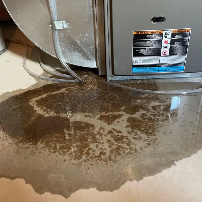 Pipe Burst and Leak Restoration in Skidway Lake, MI