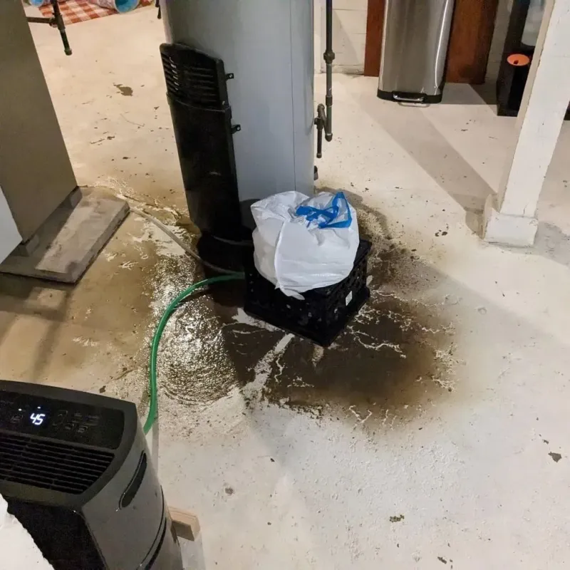 Sewage Backup Cleanup Service in Skidway Lake, MI